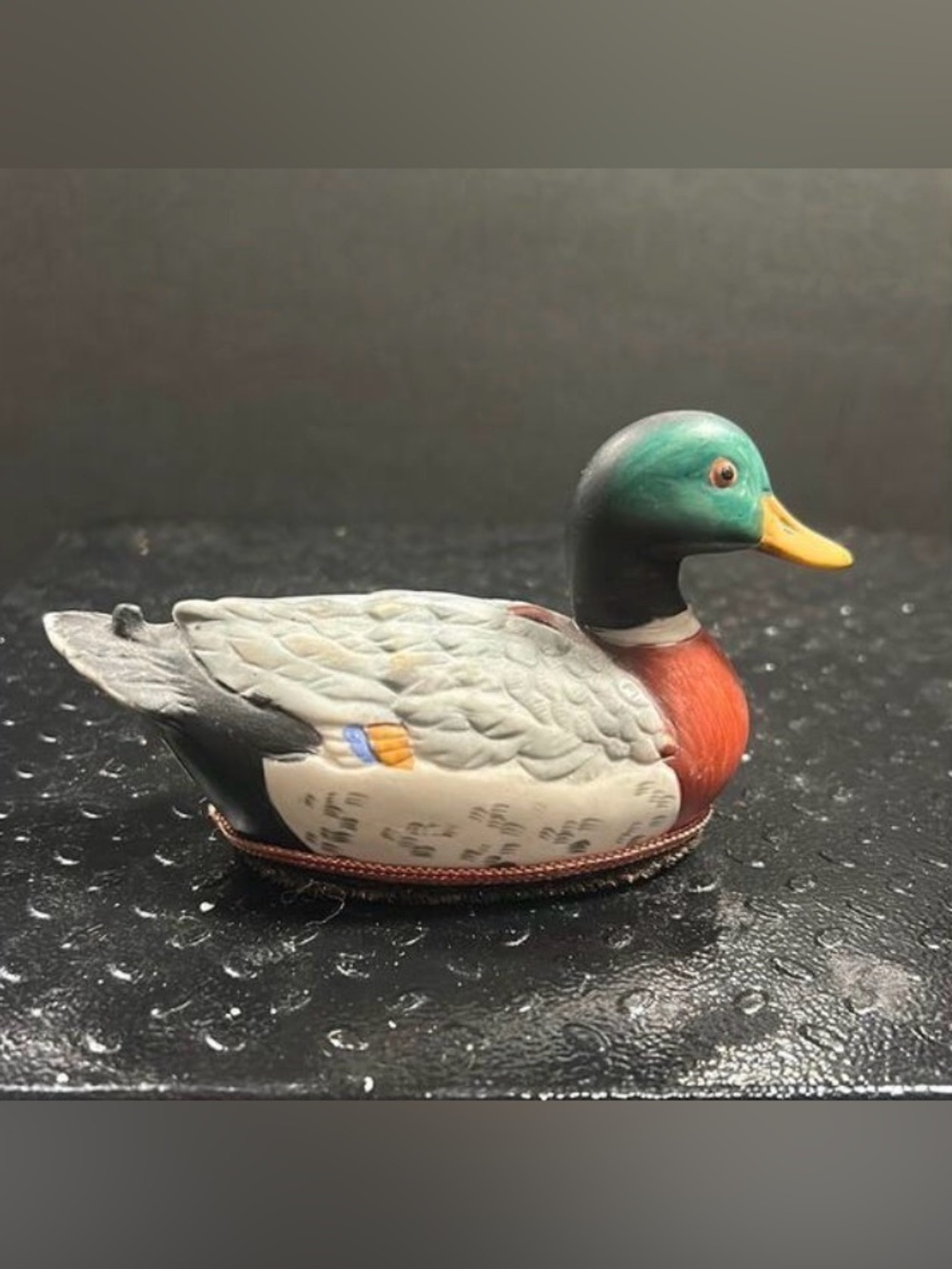 Duck Shoe Shine Brush